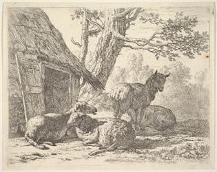 Quatro ovelhas, uma ovelha está entre outras três deitadas no chão ao lado de um galpão com po ..., 1658.