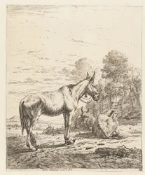 Mula com sino no cabresto e dois burros deitados