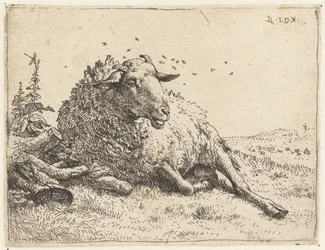 Ovelha junto a um tronco de árvore
