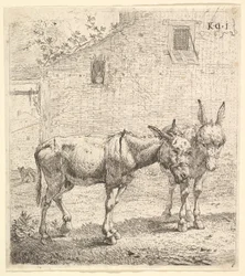 Dois burros em pé em um quintal gramado, um na vista de perfil voltado para a direita e outro para trás ..., 1652.