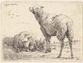 Duas ovelhas, uma mostrada frontalmente em uma posição reclinada, com as pernas dobradas por baixo ..., ca. 1655