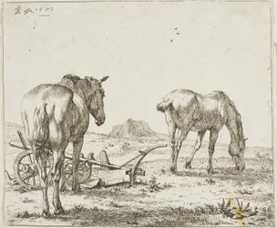 Dois cavalos por um arado