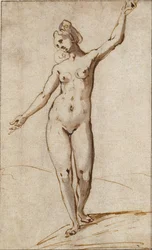 Nu feminino