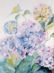 Hortênsia, onda azul mim