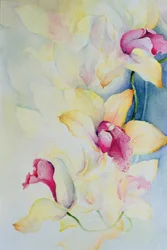 Orquídea, cymbidium, príncipe charles