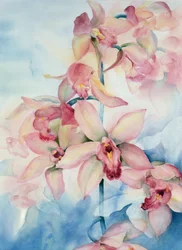 Orquídea Cymbidium Ramley