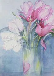 Tulipas de papagaio-de-rosa e marlette