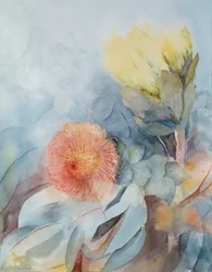 Protea da África do Sul