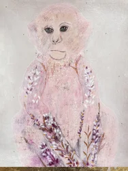 Macaco Rosa Lavanda
