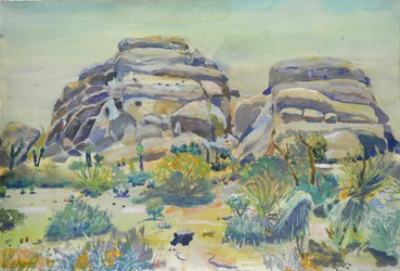Paisagem de Joshua Tree