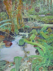 Riacho da Floresta Coberta de Musgo