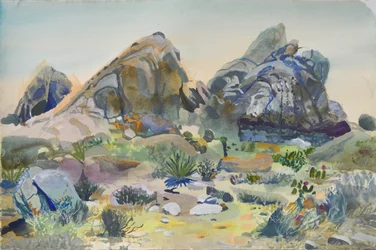 Rocha do Deserto do Sudoeste