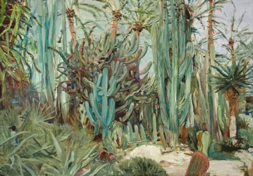 Jardim de cactos vibrante