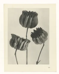 planejar estudo Arquétipos da Arte (título da série)