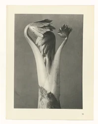 planejar estudo Arquétipos da Arte (título da série)