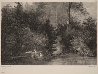Patos