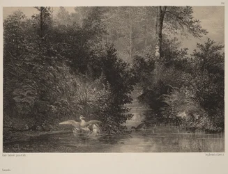 Patos