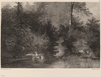 Patos, 18611866.