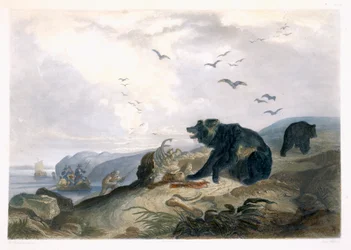 Caça ao urso pardo, placa 36 do volume 2 de &39;Viagens no interior da América do Norte&39;, gravada por Lucas Weber, 1844 (aquatint)