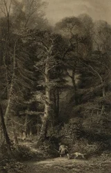 Interior da floresta