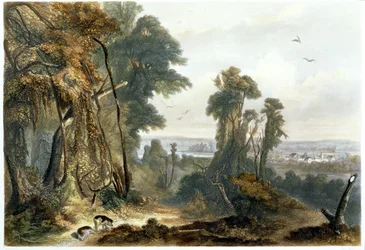 Nova Harmonia no Wabash, placa 2 do Volume 2 de &39;Viagens no Interior da América do Norte&39;, gravada por Lucas Weber, 1844 (aquatint)