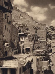 Mar Saba, Palma de São Sabas (foto a p/b)