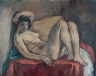 Nu feminino deitado