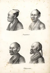 Bustos de homens japoneses com penteado de nódulo superior de conmage, e homens chineses com barba, um com rabo de porco. Litografia de Karl Joseph Brodtmann de Heinrich Rudolf Schinz