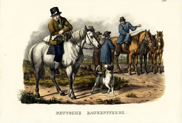 Cavalos Alemães, 1824