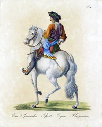 O Cavalo Espanhol (impressão)
