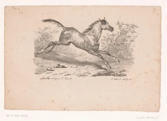 Cavalo galopando na paisagem Cavalos e Cavaleiros (título da série)