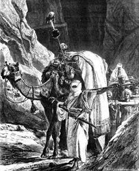 Chefes de rebeldes, 1881