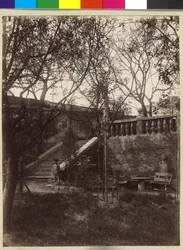 Página inicial Frederico de Amerling