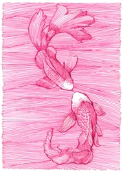 Dança de carpas koi cor-de-rosa