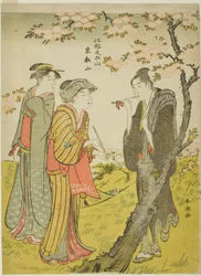 Toei Hill (Toeizan), da série "Five Hills of Edo (Koto no gozan)"