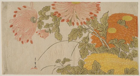 Crisântemos, c.1780 (xilogravura a cores; surimono)