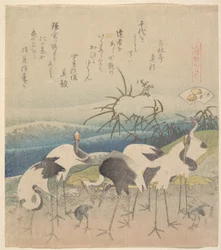 Ashi Clam, da série «Genroku Kasen Kai-awase»