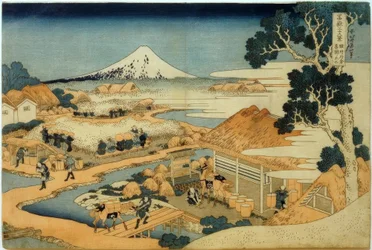 Monte Fuji, visto da plantação de chá em Katakura, província de Suruga