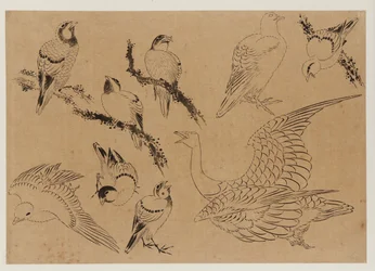 Aves, período Edo, final do século XVIII e início do século XIX.