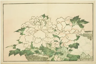 Crisântemos em uma cesta, do livro ilustrado de pinturas realistas de Hokusai (Hokusai shashin gafu)