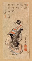 Cortesã a fazer um desfile, c.1816 (xilogravura a cores)