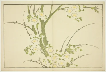 Flores, do livro ilustrado de pinturas realistas de Hokusai (Hokusai shashin gafu)