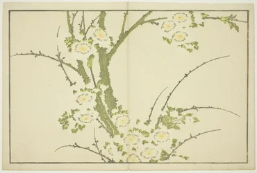 Flores, de The Picture Book of Realistic Paintings of Hokusai (Hokusai shashin gafu), c.1814 (xilogravura a cores (folha de álbum))