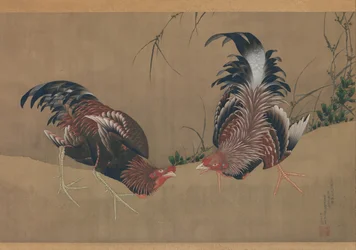 Galos de combate, datado de 1838.