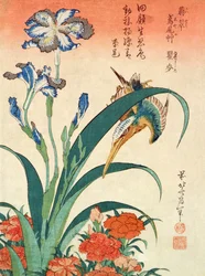 Martim-pescador, Íris e rosas, pub. por Nishimura Eijudo, c.1832, um de um conjunto de dez impressões, (tamanho de chuban, woodblock de cor)