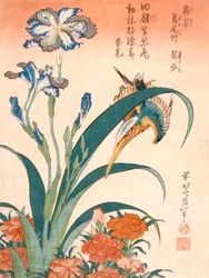 Kingfisher, Irises e Pinks (impressão a cores em bloco de madeira)