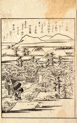 Flores-da-lua na neve, de um álbum de poesia kyōka