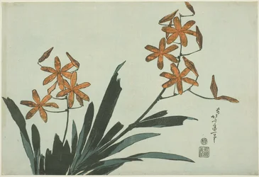 Orquídeas cor de laranja, de uma série de flores sem título