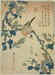 Paddy Bird e Magnolia Flowers (Buncho, kobushi no hana), de uma série sem título de flores e pássaros