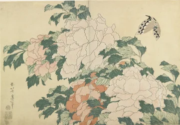 Peônias e Borboletas, c. 1830-1831